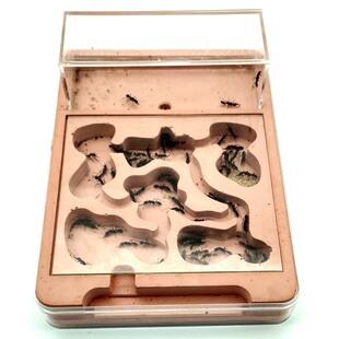 ƽ��һ�w���ͳ�����ρ�� ����Λρ ���� Λρ�Ǳ� Λρ�����ρ��