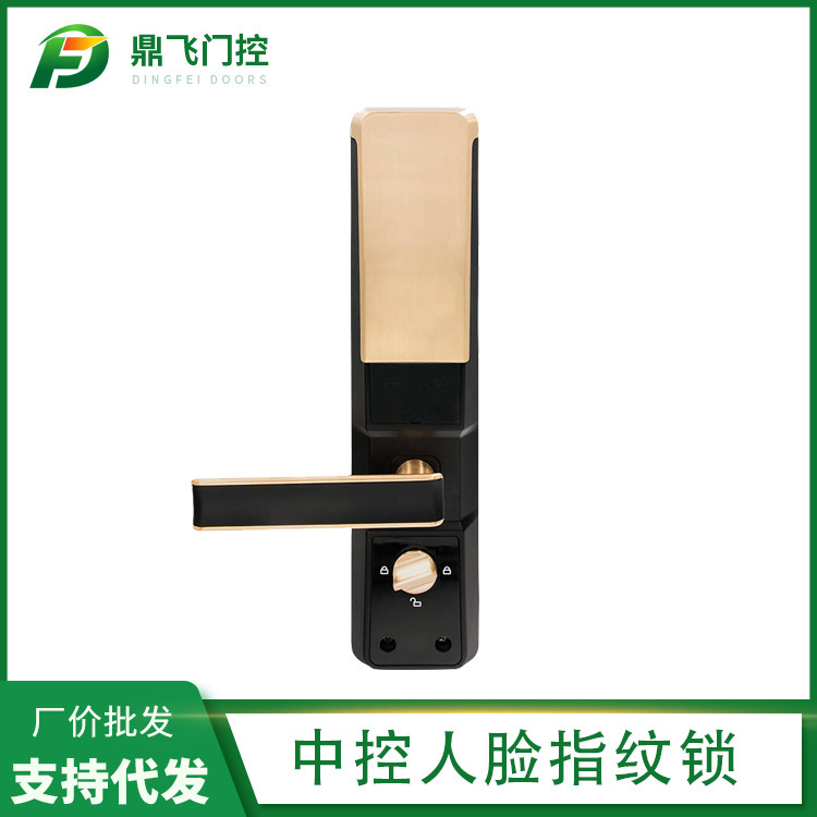 供应中控人脸指纹锁 家用面部电子密码锁刷脸防盗门锁指纹锁