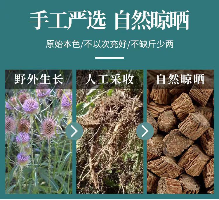 Xu Duan (Dipsacus asper) — Dried Sichuan Teasel Root, 500g Food Herb for Soup & Tea key features