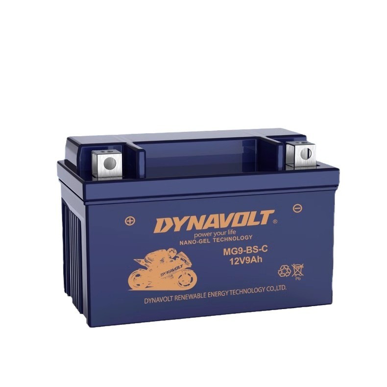 Batería de motocicleta de león para brisa de primavera Benelli Harley BMW 125 pedal hawk Kawasaki 12V batería