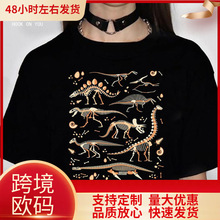 Dinosaur Tee women streetwear t-shirts female graphic 2000s