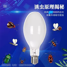 金卤灯;气体放电灯;红外线灯泡
