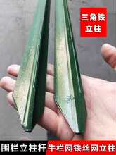 ���������Uţ�ھW�F�z�W�����F�����U���o�ڌ��������Bֳ�Wţ��W