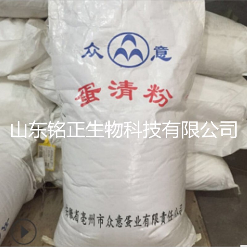 Ready Supply of Egg Protein Powder (Egg White Powder) Egg Substitute 1.0kg Minimum Order