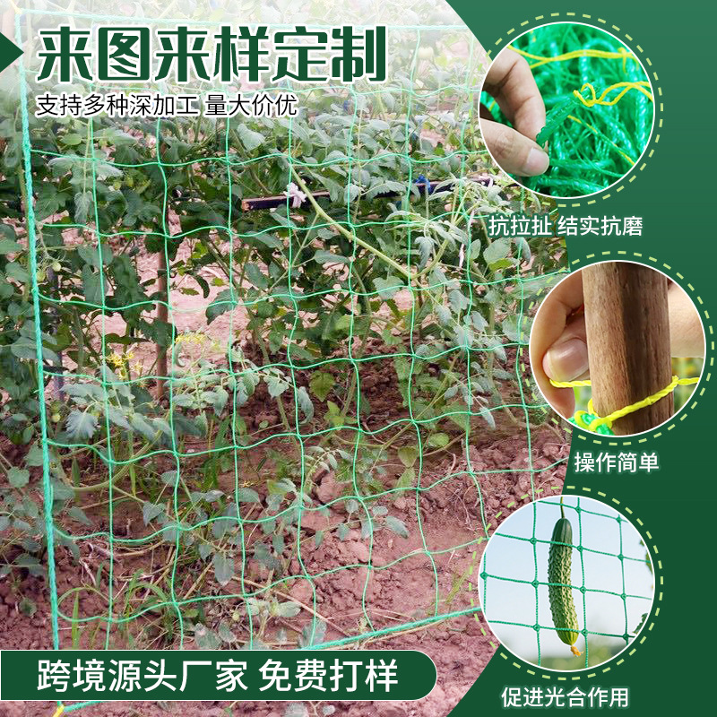 Planta red de escalada jardinería verde celosía cuadrada pepino melón colgante soporte de red de escalada crisantemo anti-viento y red de alojamiento