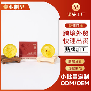 �ؼt���澏���A�����Ɯغ��̝����o�Ａ��������������ԡ�ֹ���