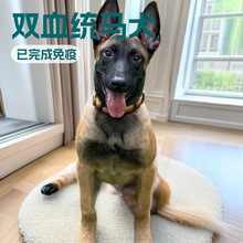 ���Ƽ��N�RȮ��Ȯ���w����С���pѪ�y�o�lȮ����Ȯ���ͷ���Ȯ����