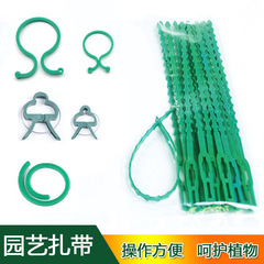 跨境藤蔓植物固定夾 爬藤綁帶扎線 園藝工具塑料魚骨扎帶八字扣夾