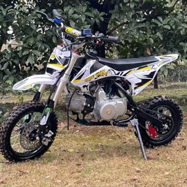 沙滩车;汽摩制造;其他摩托车