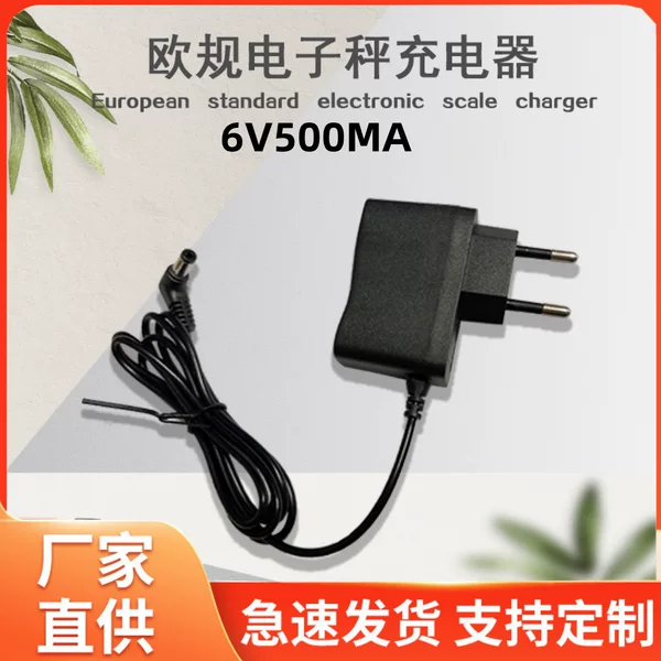 European Standard Electronic Scale 6V500Ma Round Hole Charger European Standard Export Charger