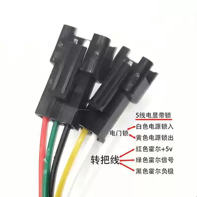 Display Speed Control, Other Electric Vehicle Accessories