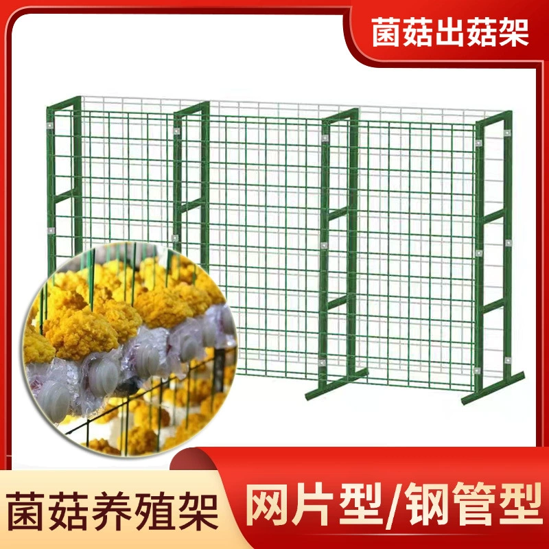 Зеленая пластиковая подставка для грибов, посадка грибов, решетки для разведения грибов, сетчатая подставка, подставка для грибов Pleurotus eryngii