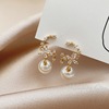 Earrings, fashionable silver needle, 2021 years, Japanese and Korean, silver 925 sample, internet celebrity