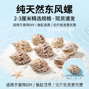 ���� 2-4cm�|�L�ݿ羳���l�~���쾰diy���ݼľ��b���ؐ������