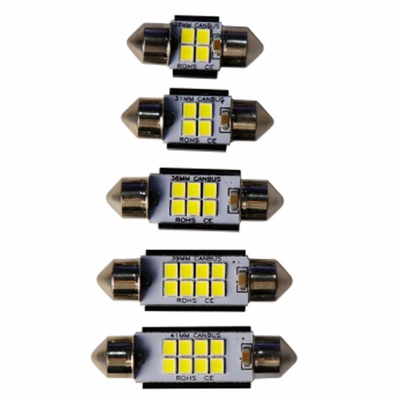 Decoding Wide Voltage: Wuji License plate lamp