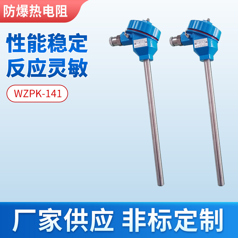 WZP-140防爆热电阻PT100温度传感器铠装直插式隔爆热电阻可定 做