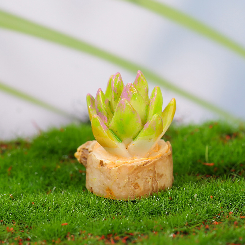 그루터기 선인장