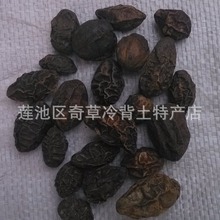 西青果,藏青果,诃子幼果,厂家中药材使君子科植物诃子的幼果