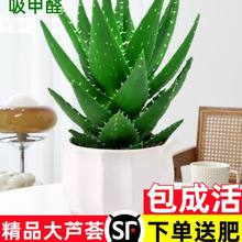 �J�C�����҃ȳ���ȩ�����՚�Gֲ���k���������ļ����B����������