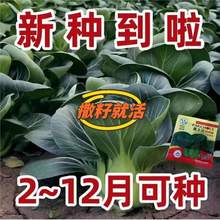 _KNϺ๣˷NӺ~͟Ą̆́ļ߲˷N