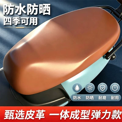 Electric car cushion – All-season universal electric vehicle