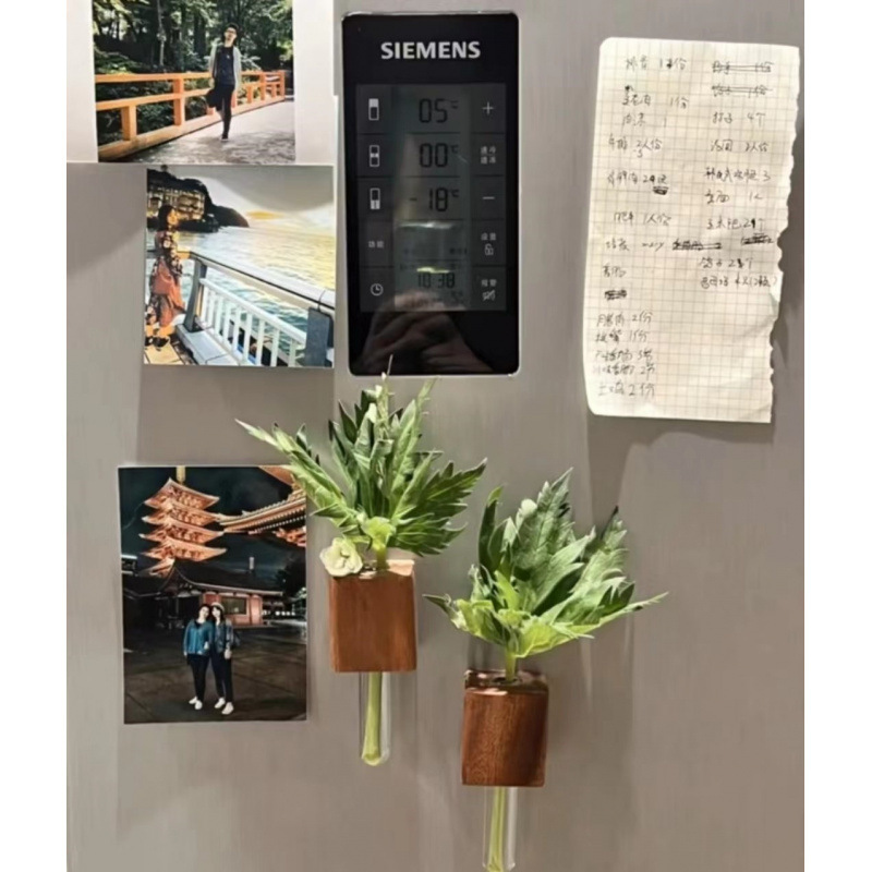 인기 호두 + 유리관 [꽃 제외]