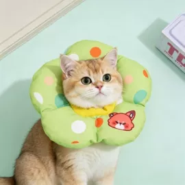 狗狗牵引;狗狗玩具;猫猫玩具