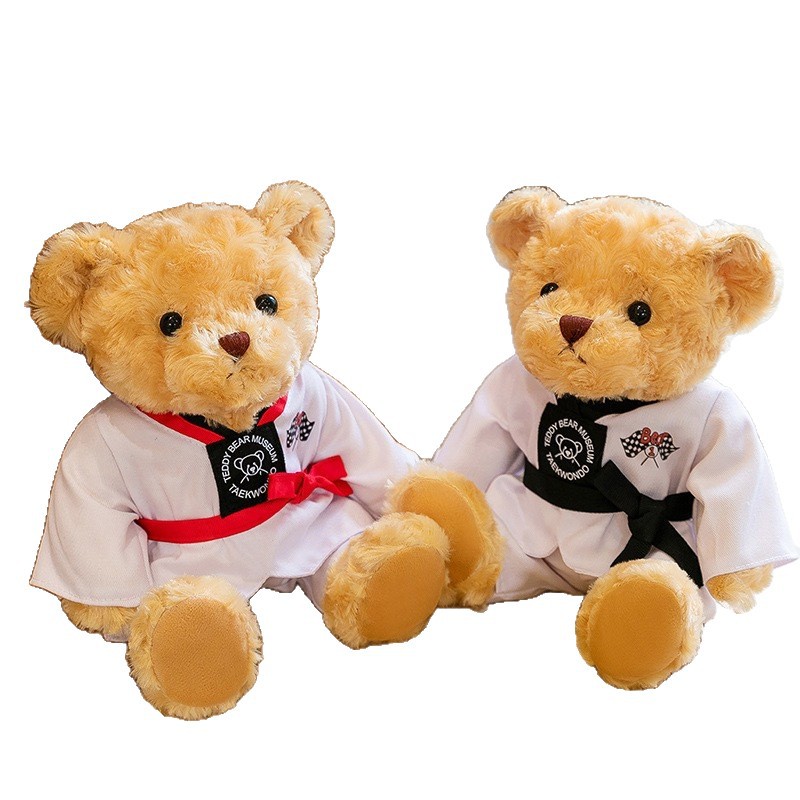 Taekwondo Teddy Bear Teddy Teddy