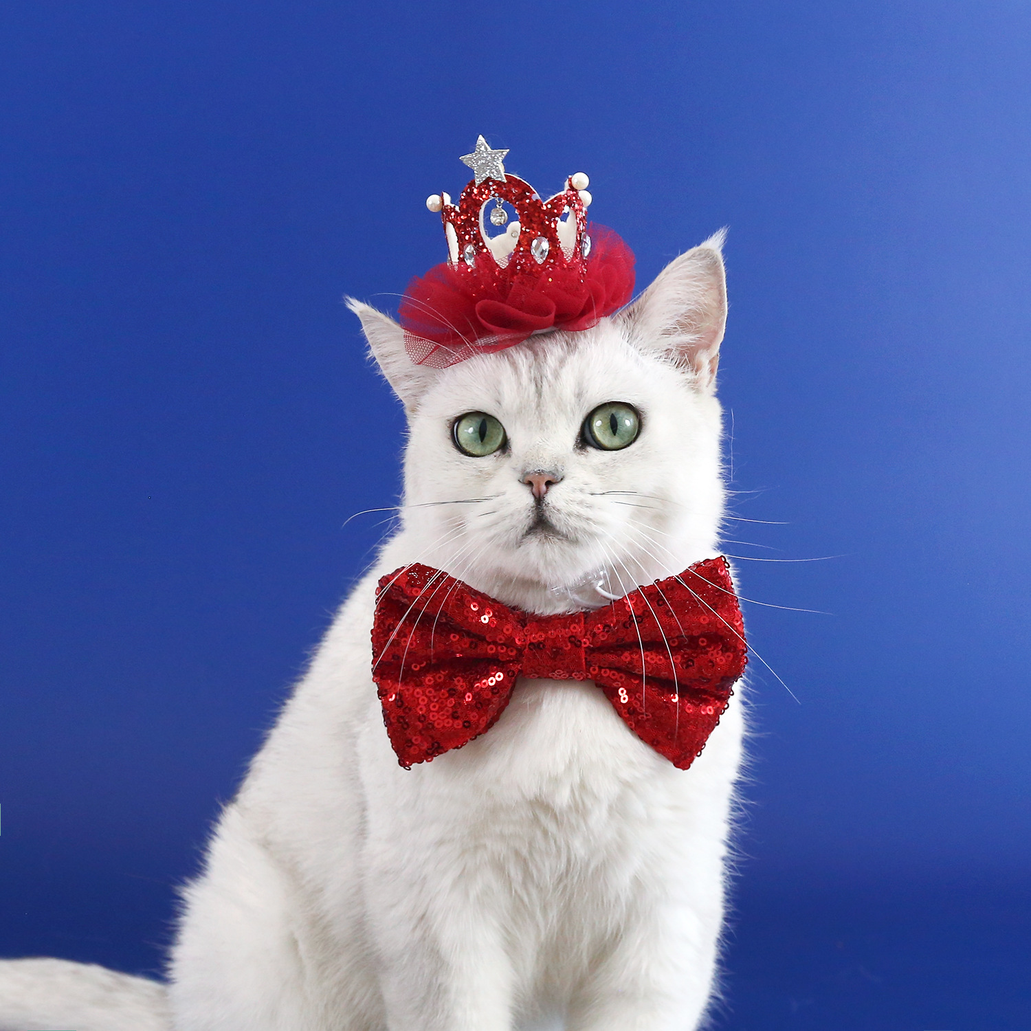 Pet Crown Collar Set Lille Corbata Perla Princesa Fiesta Toads Gatos Perros Polvo de Cumpleaños image 1