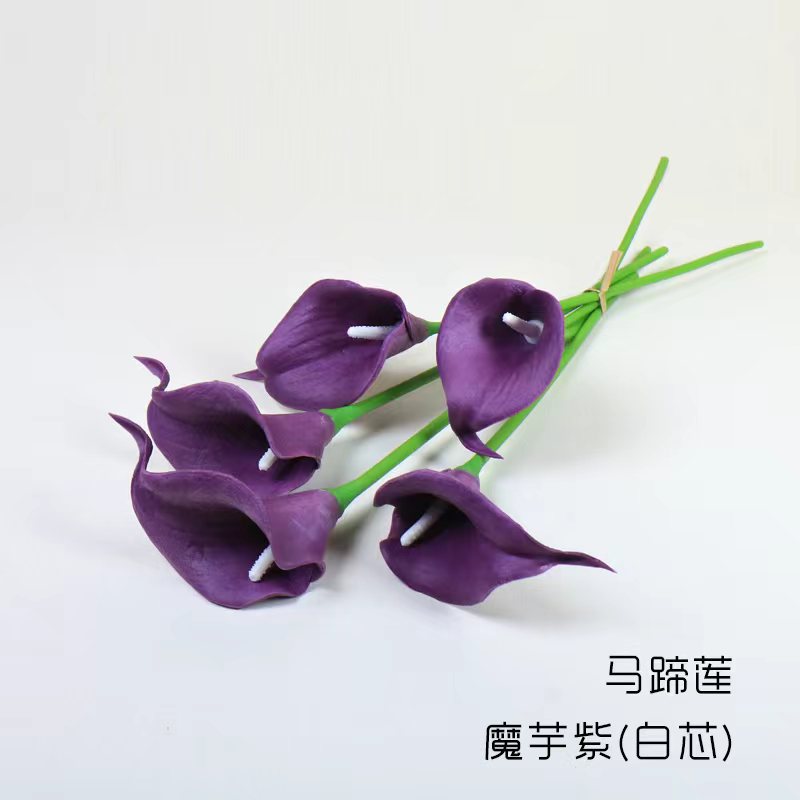 칼라 릴리-곤약 퍼플(화이트 코어)