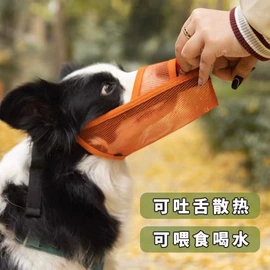 嘴套;猫猫包、箱;狗狗窝/笼/垫