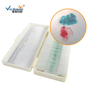 ˮ���bƬ ��֫�����T ��ֲ����Ƭ�˱� ����̌W���� �@΢�R��