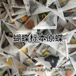 ������˱�����ԭ��δչ���ֹ�diy�������x�˱��P��ԭ�x
