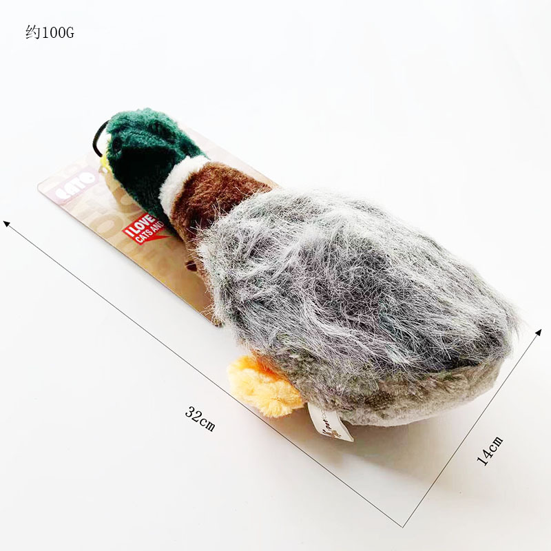 녹색 머리 큰 머리 비행 오리