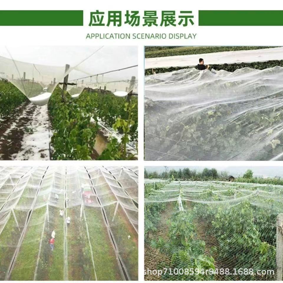 冰雹网7 - 副本.jpg