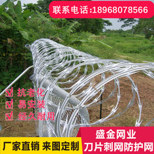 ƬK\̽zL\K 䓽z\䓽z̝L\aӹ