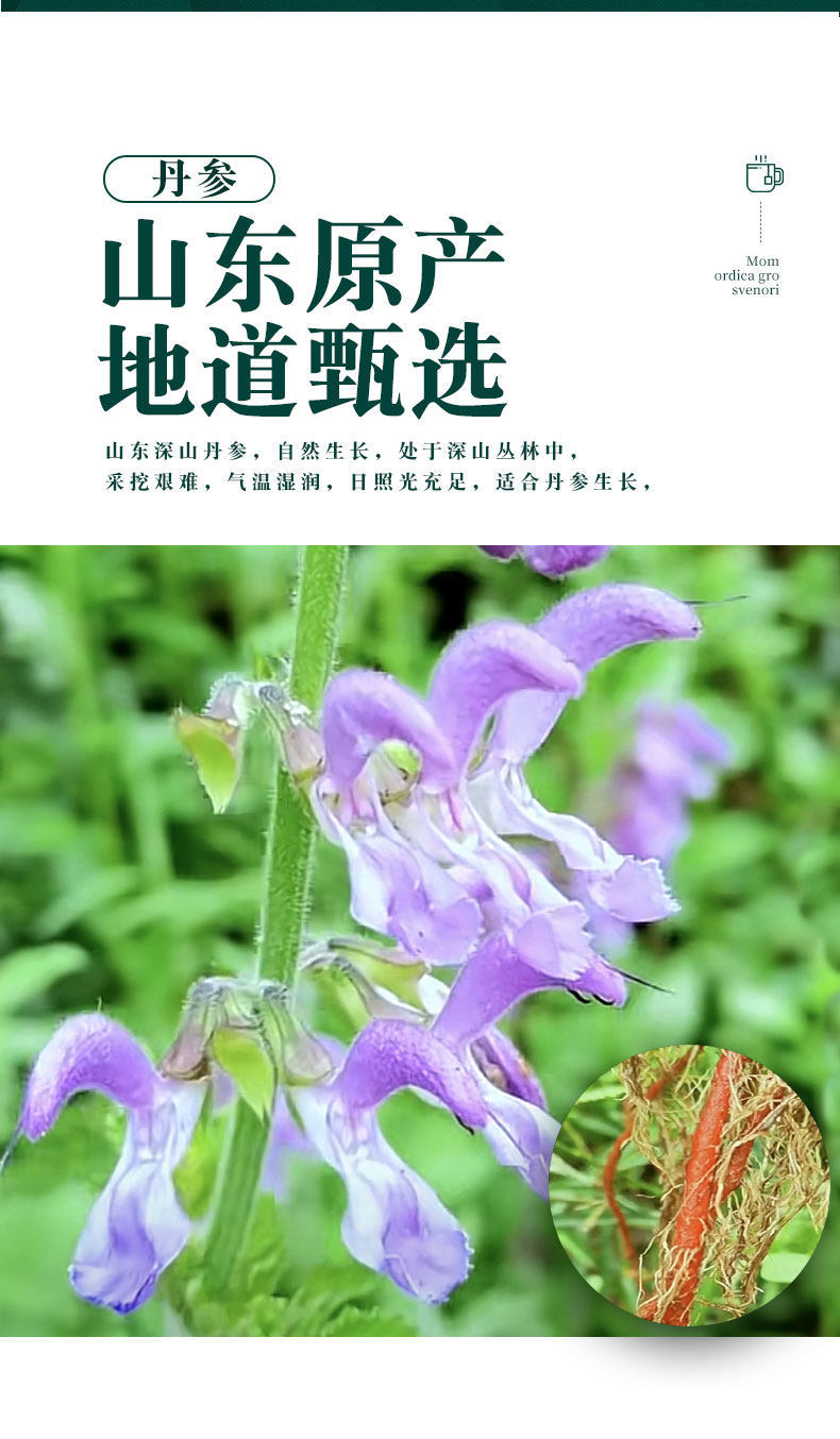 Wild Danshen Red Sage Root 500g Dried Salvia Miltiorrhiza for Tea Wine and Decoction quality and texture