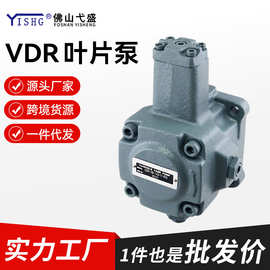 液压泵总成VDR-1A 1B 2A 2B-1A2 1A3 1A4 1A5 2A2-13 22电机油泵