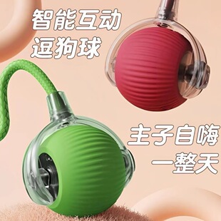 �羳���������؈��؈�����˽␞����������ߌ�����Ʒ؈���