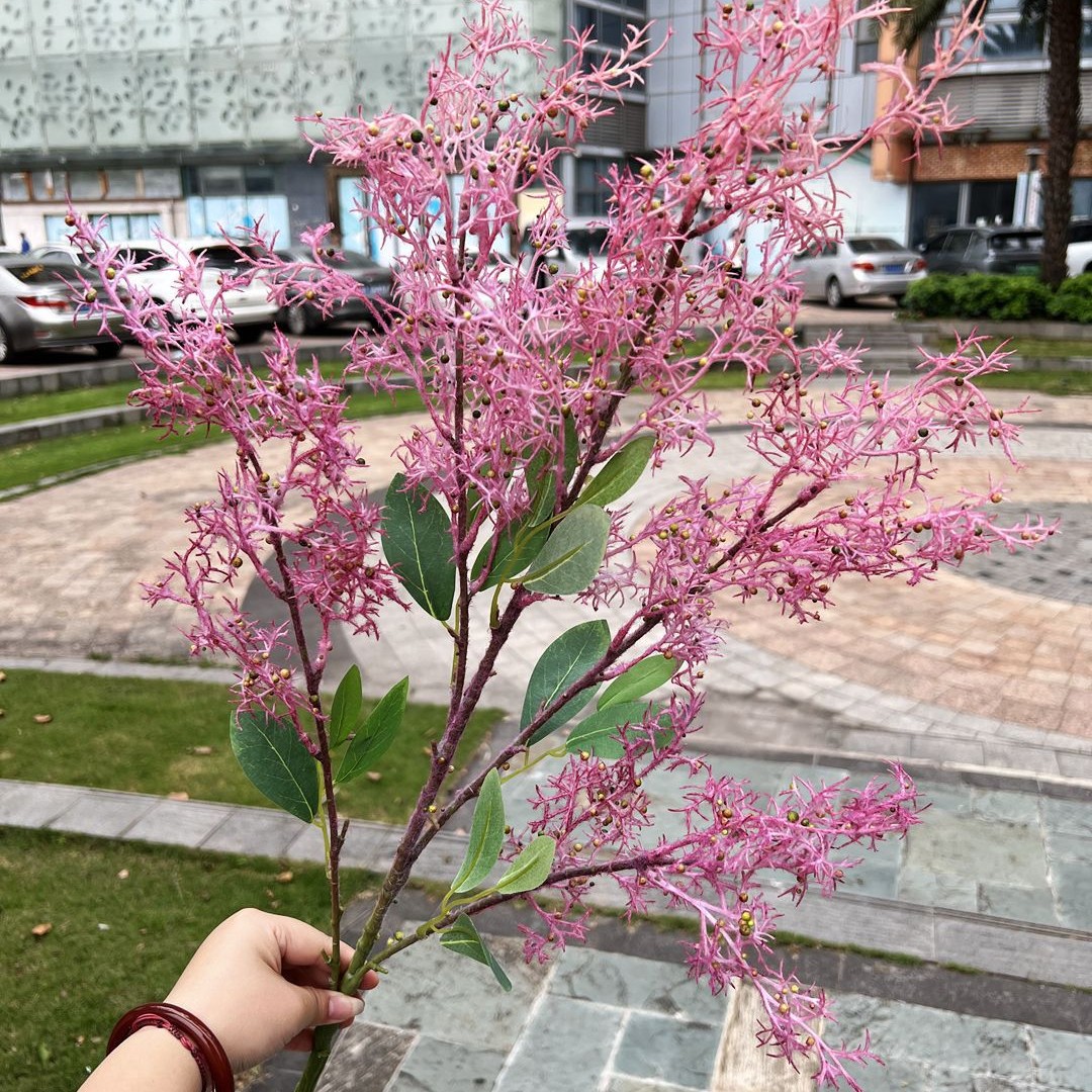 Misty lover Rosa Roja