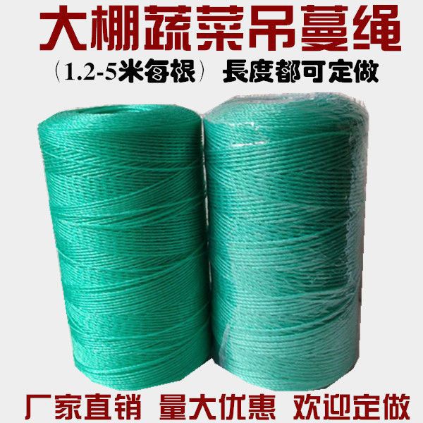 Nylon rope Plastic rope Climbing Drawstring Packing rope Reed plate Rope