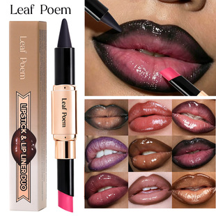 LEAF P0EM �羳�ʊy�����ӿڼt����һ ���⹴�մ���б���̝��ڼt