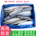 冷冻青花鱼片去头去内脏鲭海鲜鱼柳5kg/箱商用批发鱼排锁鲜鲅鱼