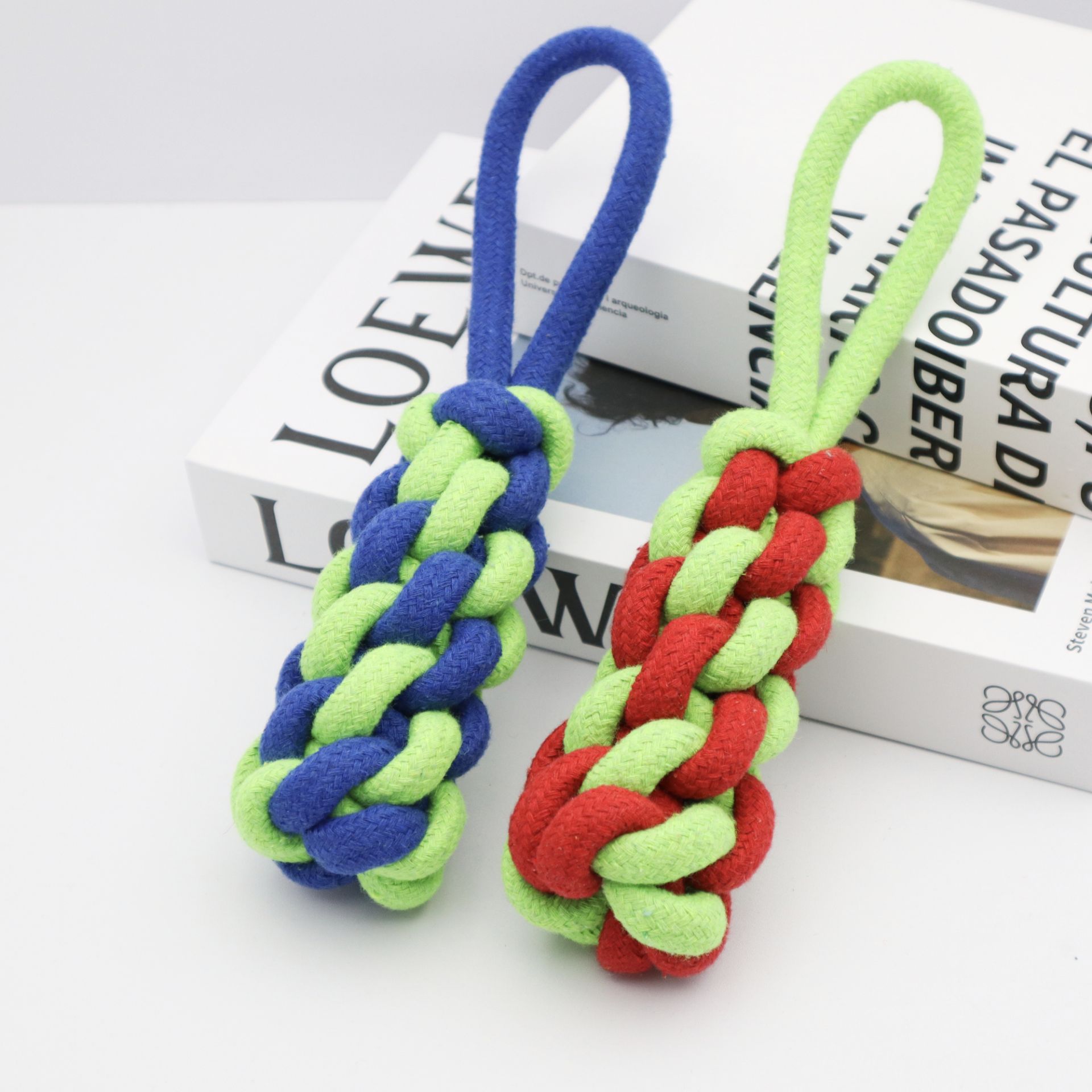 다채로운 파인애플 스트립