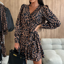 2025WQ羳Rd¿ŮbLVIϵӡBȹ