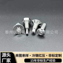 ���P�304 316 ���ؼӹ� �ֶȿ׶�׃ȿ� �ǘ˶��ƃ����ݼy��˨