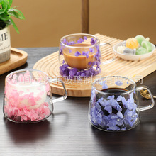 跨境新品真花双层玻璃杯高颜值伴手礼咖啡杯高硼硅简约杯子水杯