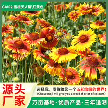 ˾շNﲥݻNͺƤշNӈ@־^G