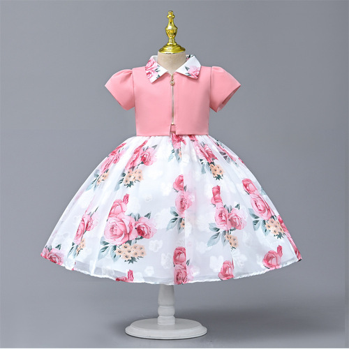 Children's Skirts Summer 2024 Cross-border Children's Clothing Stylish Girls Princess Skirts Short-sleeve Printed Girls' Dresses Wholesale