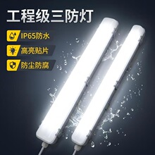 led����֧�ܵ� 1.2�׵�˫�ܴ��ַ�ˮ��������ip65��Ƭʽ������